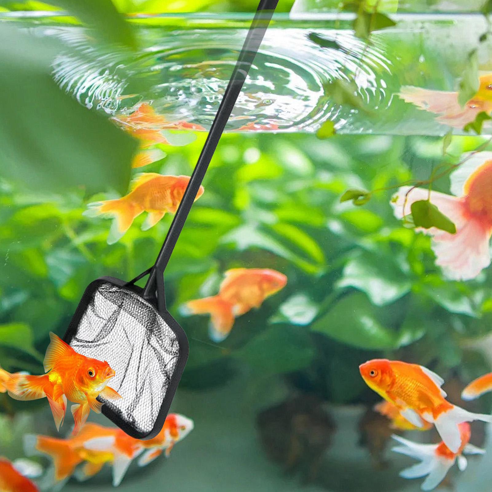 Siatki do czyszczenia basenów, – Aquarium Marine recenzja i cena