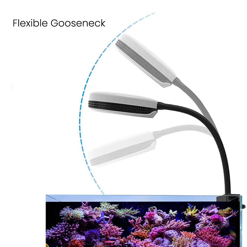 Lampa LED do akwarium Spectra  – Aquarium Marine Fishes recenzja i cena