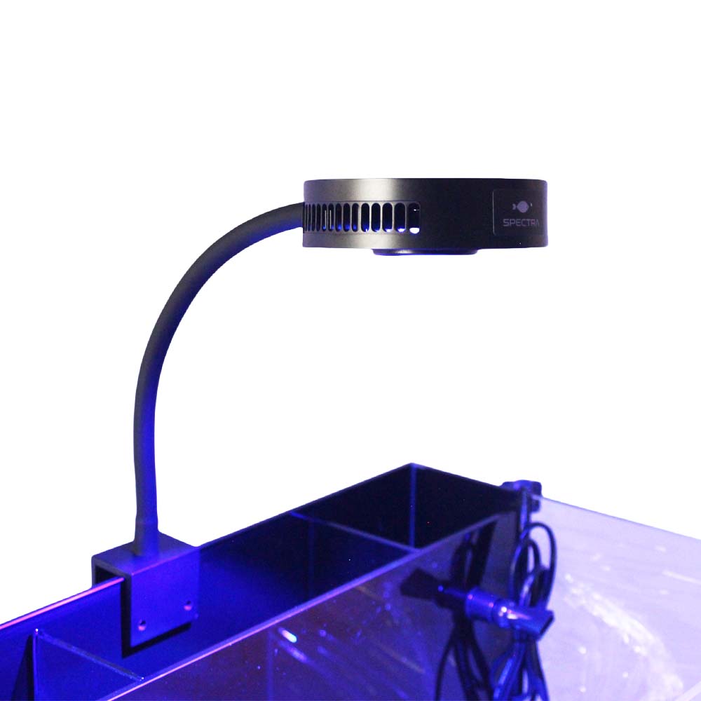 Aquaknight V2 Marine Reef Ligh – Aquarium Marine Fishes recenzja i cena